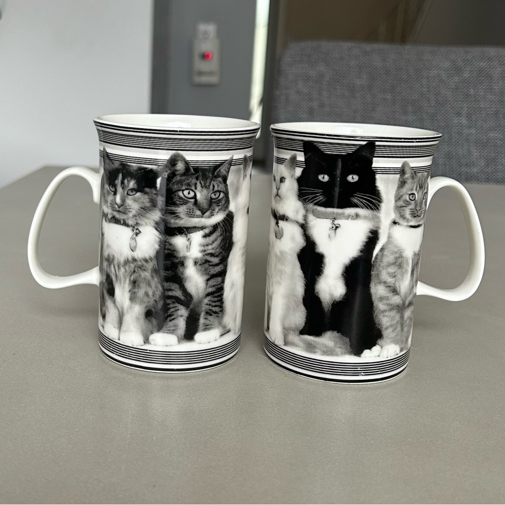 Set of Adorable Cat Mugs in Black and White